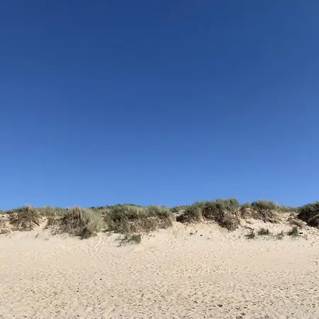 Garden 23 - 204 With Shared Pool By Interhome Apartment De Haan