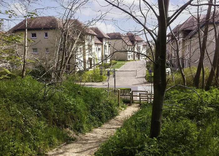 Garden 23 - 204 With Shared Pool By Interhome Apartment De Haan